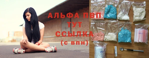 крисы Аркадак