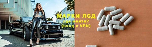 крисы Аркадак