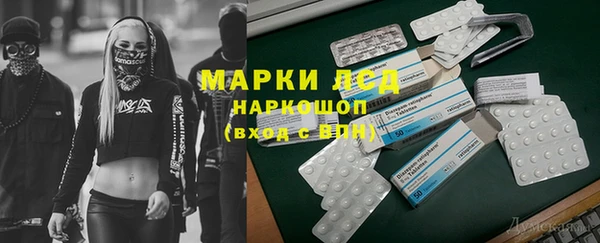 крисы Аркадак