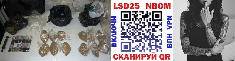 как найти наркотики  Старая Русса  Лсд 25 экстази ecstasy 
