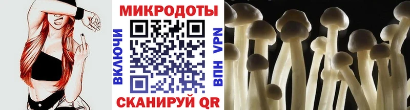 Псилоцибиновые грибы мицелий  Старая Русса 